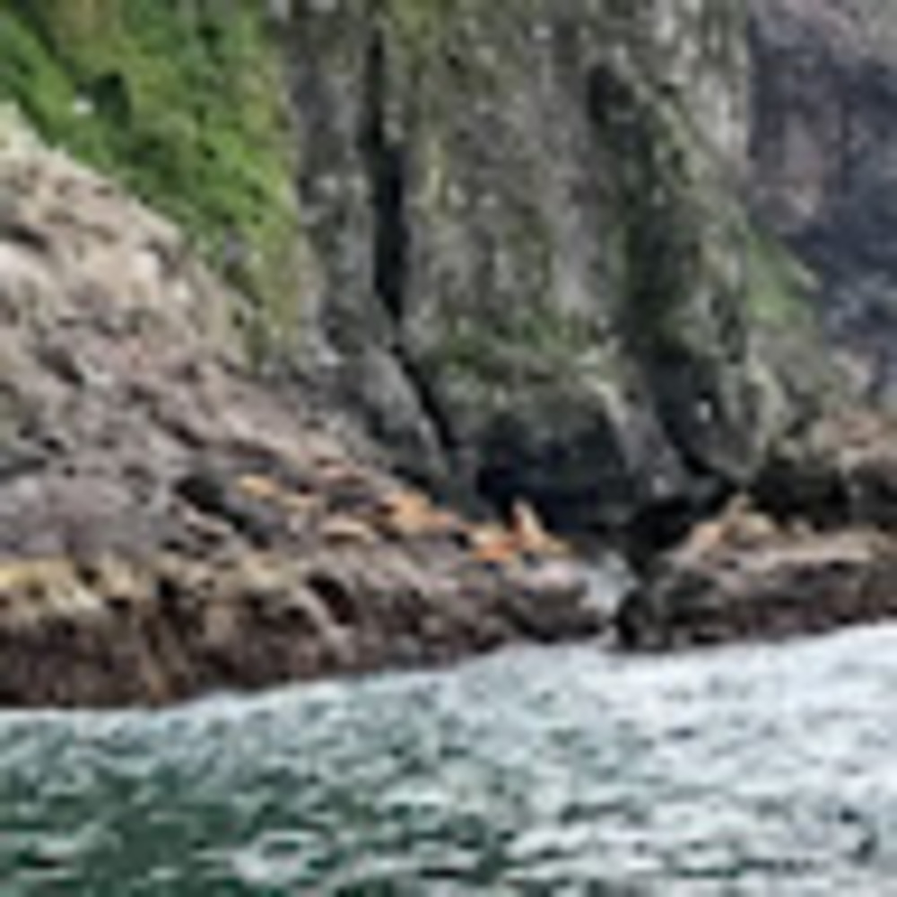 Meet your Posher, Larissa